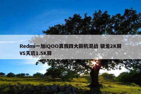 Redmi一加iQOO真我四大新机混战 骁龙2K屏VS天玑1.5K屏