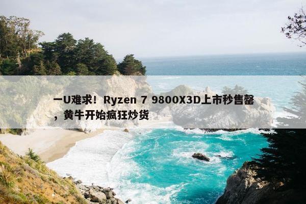 一U难求！Ryzen 7 9800X3D上市秒售罄，黄牛开始疯狂炒货