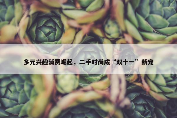 多元兴趣消费崛起，二手时尚成“双十一”新宠