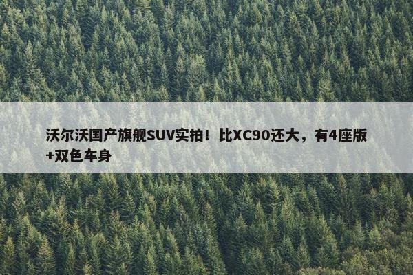 沃尔沃国产旗舰SUV实拍！比XC90还大，有4座版+双色车身