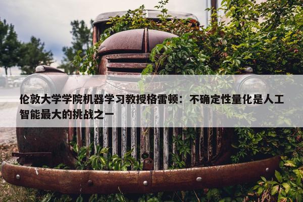 伦敦大学学院机器学习教授格雷顿：不确定性量化是人工智能最大的挑战之一