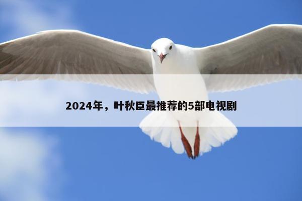 2024年，叶秋臣最推荐的5部电视剧