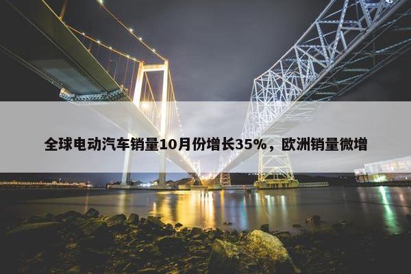 全球电动汽车销量10月份增长35%，欧洲销量微增