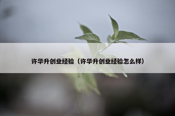 许华升创业经验（许华升创业经验怎么样）