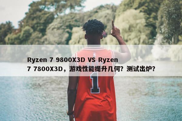 Ryzen 7 9800X3D VS Ryzen 7 7800X3D，游戏性能提升几何？测试出炉？