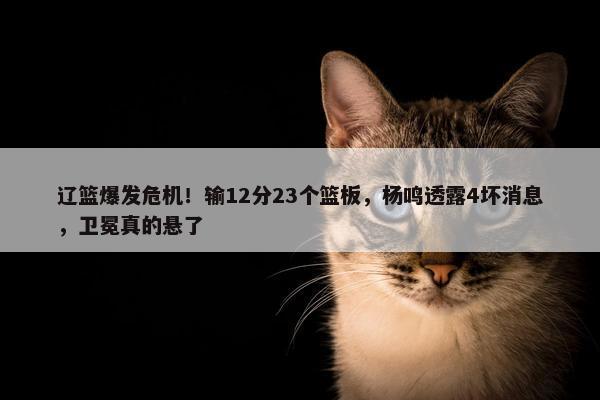 辽篮爆发危机！输12分23个篮板，杨鸣透露4坏消息，卫冕真的悬了