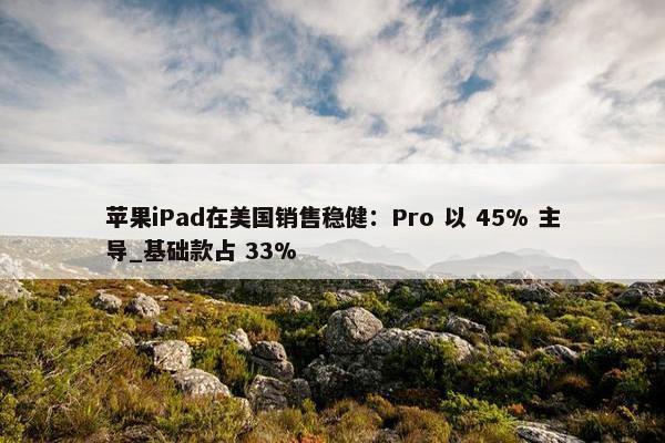 苹果iPad在美国销售稳健：Pro 以 45% 主导_基础款占 33%