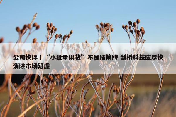 公司快评︱“小批量供货”不是挡箭牌 剑桥科技应尽快消除市场疑虑