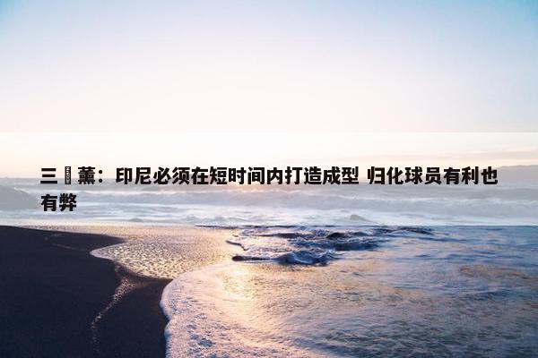 三笘薰：印尼必须在短时间内打造成型 归化球员有利也有弊