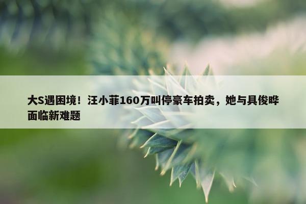 大S遇困境！汪小菲160万叫停豪车拍卖，她与具俊晔面临新难题