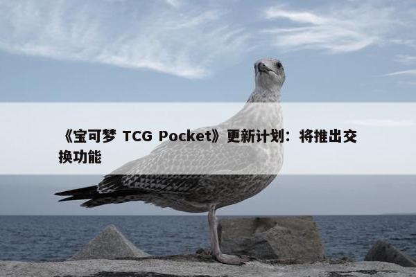 《宝可梦 TCG Pocket》更新计划：将推出交换功能