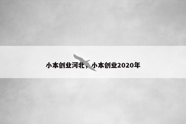 小本创业河北，小本创业2020年