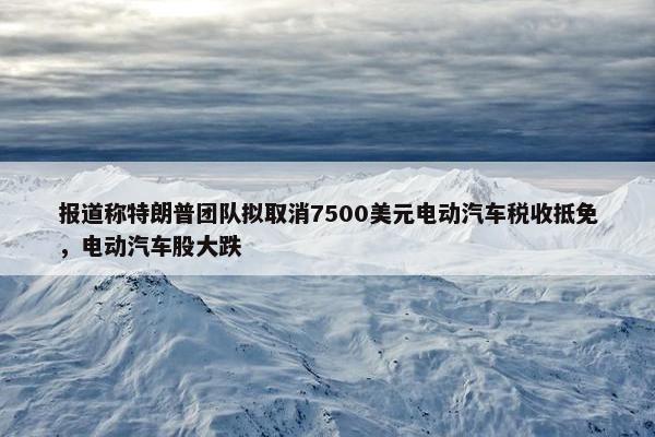 报道称特朗普团队拟取消7500美元电动汽车税收抵免，电动汽车股大跌