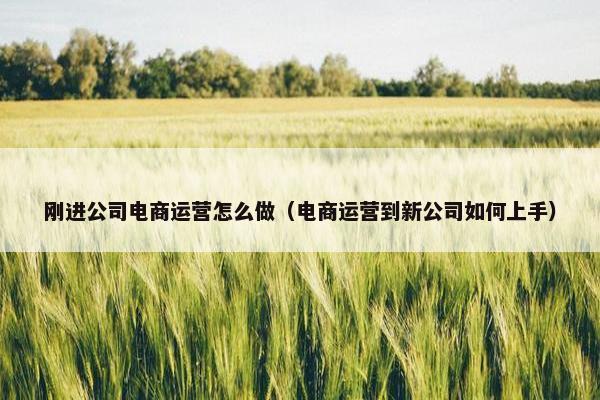 刚进公司电商运营怎么做（电商运营到新公司如何上手）