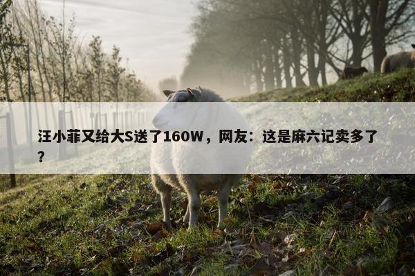 汪小菲又给大S送了160W，网友：这是麻六记卖多了？