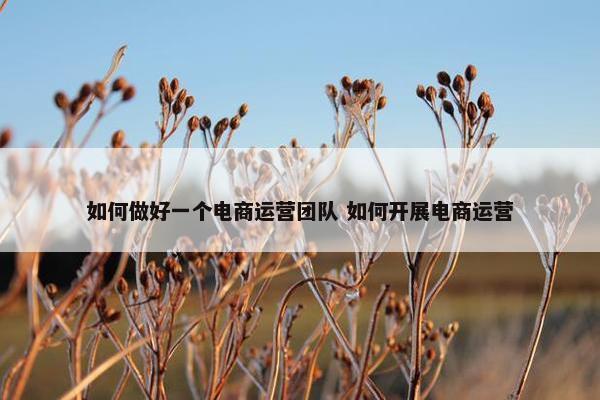 如何做好一个电商运营团队 如何开展电商运营