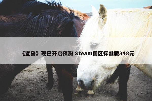 《宣誓》现已开启预购 Steam国区标准版348元