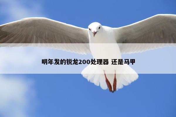 明年发的锐龙200处理器 还是马甲