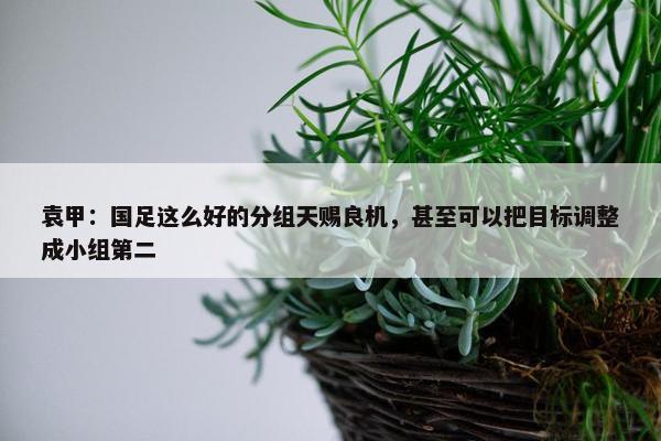 袁甲：国足这么好的分组天赐良机，甚至可以把目标调整成小组第二