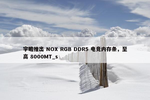 宇瞻推出 NOX RGB DDR5 电竞内存条，至高 8000MT_s