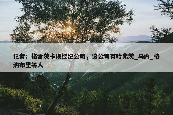 记者：格雷茨卡换经纪公司，该公司有哈弗茨_马内_格纳布里等人