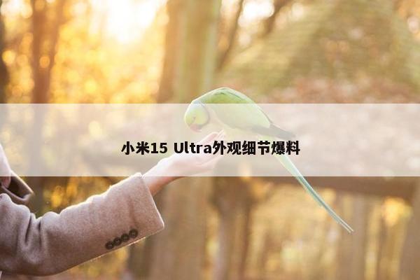 小米15 Ultra外观细节爆料