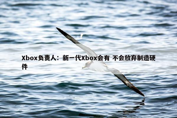 Xbox负责人：新一代Xbox会有 不会放弃制造硬件