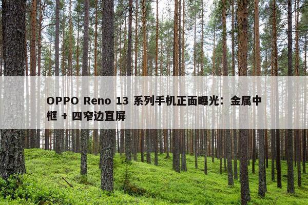 OPPO Reno 13 系列手机正面曝光：金属中框 + 四窄边直屏