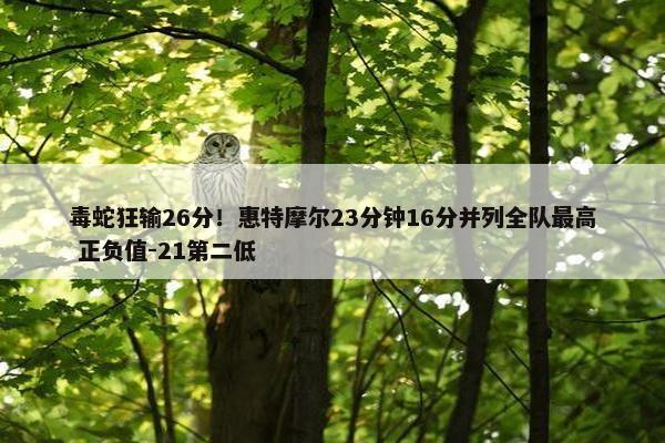 毒蛇狂输26分！惠特摩尔23分钟16分并列全队最高 正负值-21第二低