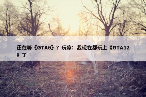 还在等《GTA6》？玩家：我现在都玩上《GTA12》了