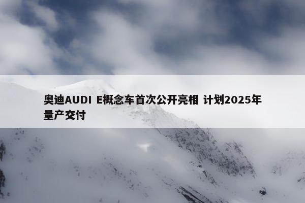 奥迪AUDI E概念车首次公开亮相 计划2025年量产交付