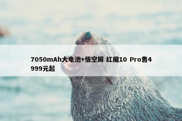 7050mAh大电池+悟空屏 红魔10 Pro售4999元起