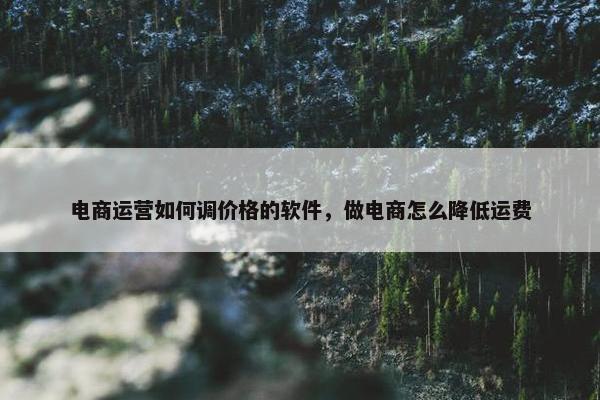 电商运营如何调价格的软件，做电商怎么降低运费