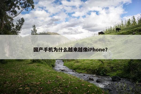 国产手机为什么越来越像iPhone？