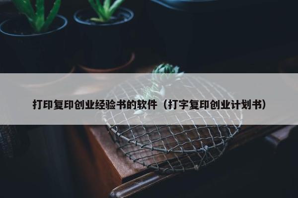 打印复印创业经验书的软件（打字复印创业计划书）