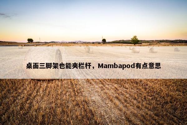 桌面三脚架也能夹栏杆，Mambapod有点意思