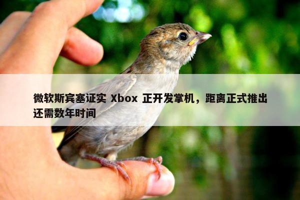 微软斯宾塞证实 Xbox 正开发掌机，距离正式推出还需数年时间