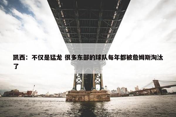 凯西：不仅是猛龙 很多东部的球队每年都被詹姆斯淘汰了