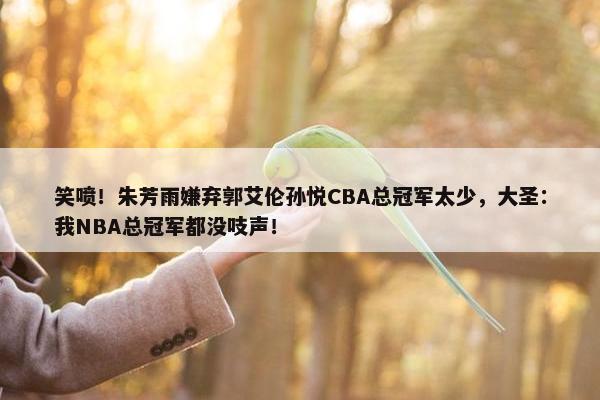 笑喷！朱芳雨嫌弃郭艾伦孙悦CBA总冠军太少，大圣：我NBA总冠军都没吱声！