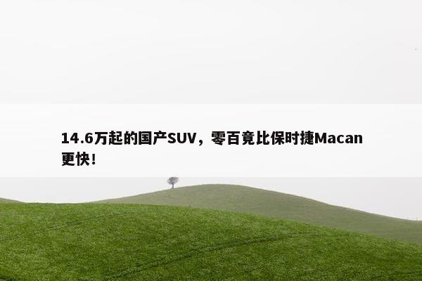 14.6万起的国产SUV，零百竟比保时捷Macan更快！