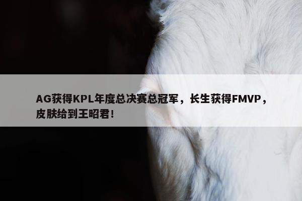 AG获得KPL年度总决赛总冠军，长生获得FMVP，皮肤给到王昭君！