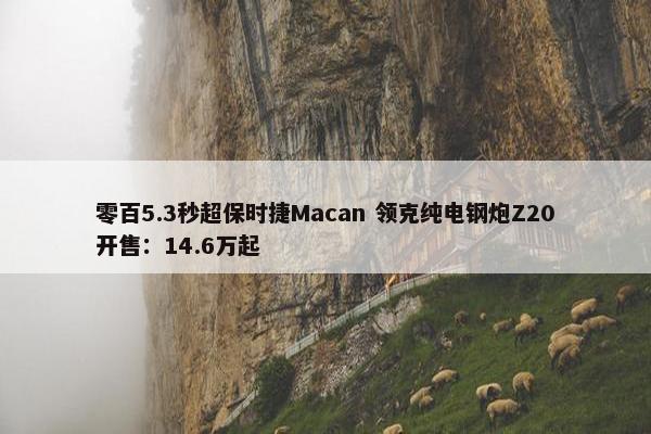 零百5.3秒超保时捷Macan 领克纯电钢炮Z20开售：14.6万起