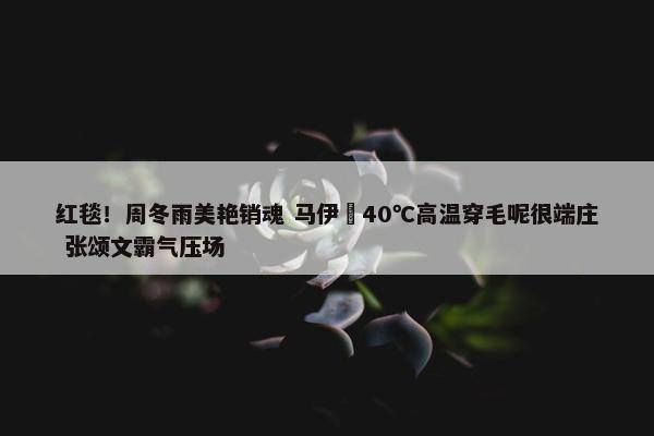 红毯！周冬雨美艳销魂 马伊琍40℃高温穿毛呢很端庄 张颂文霸气压场