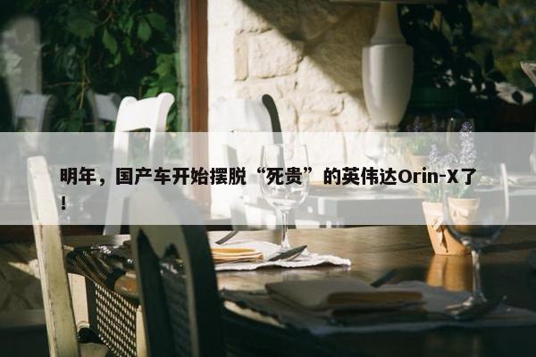 明年，国产车开始摆脱“死贵”的英伟达Orin-X了！