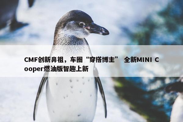 CMF创新鼻祖，车圈“穿搭博主” 全新MINI Cooper燃油版智趣上新