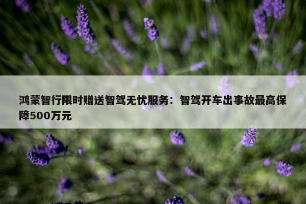 鸿蒙智行限时赠送智驾无忧服务：智驾开车出事故最高保障500万元