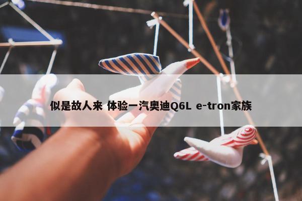 似是故人来 体验一汽奥迪Q6L e-tron家族