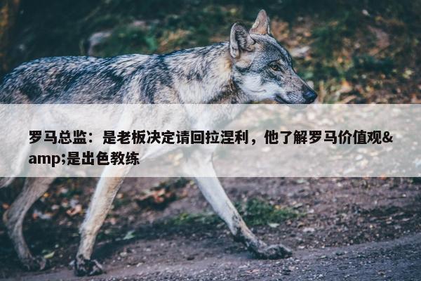 罗马总监：是老板决定请回拉涅利，他了解罗马价值观&是出色教练