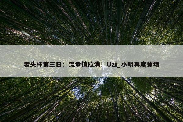 老头杯第三日：流量值拉满！Uzi_小明再度登场