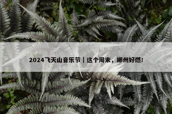 2024飞天山音乐节｜这个周末，郴州好燃！